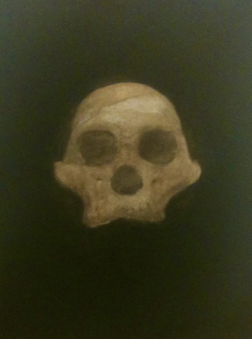 Mr/Mrs Ples, Öl/ MDF Platte, 30cm x 40cm, nach einem Foto von David Brill