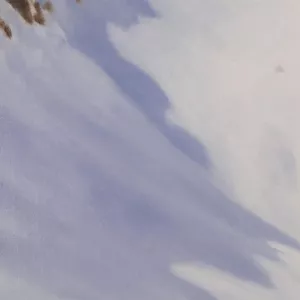 schneebedeckter Bergabhang