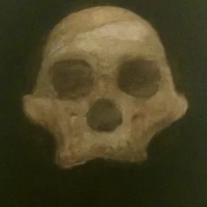 Alter Schädel auf dunklem Grund